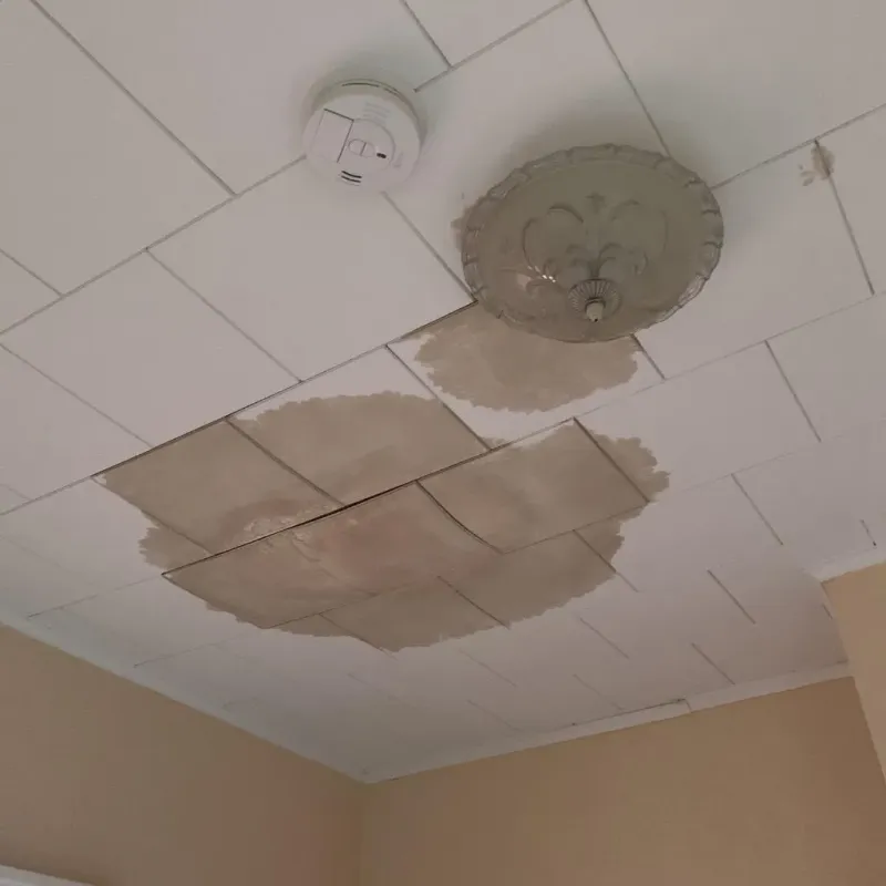Ceiling Water Damage Repair in Hot Springs National Park, AR