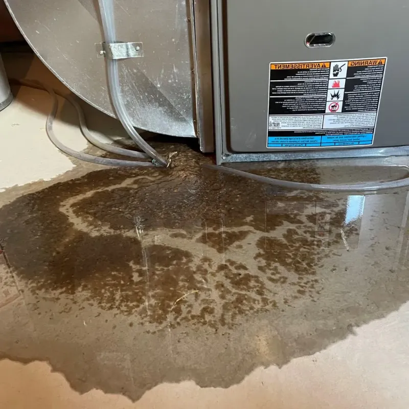 Pipe Burst and Leak Restoration in Hot Springs National Park, AR